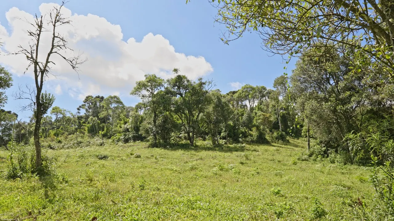 Sítio à venda de 16 ha em Urubici, SC, Brasil