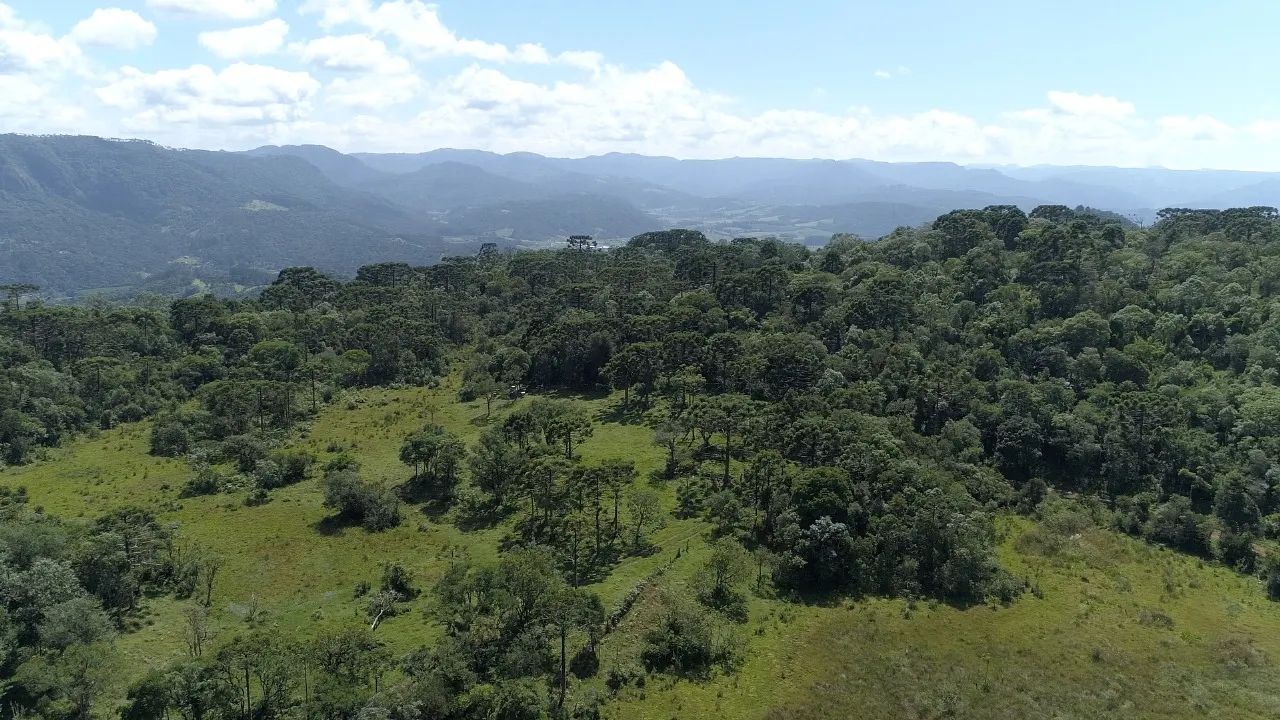 Sítio à venda de 16 ha em Urubici, SC, Brasil