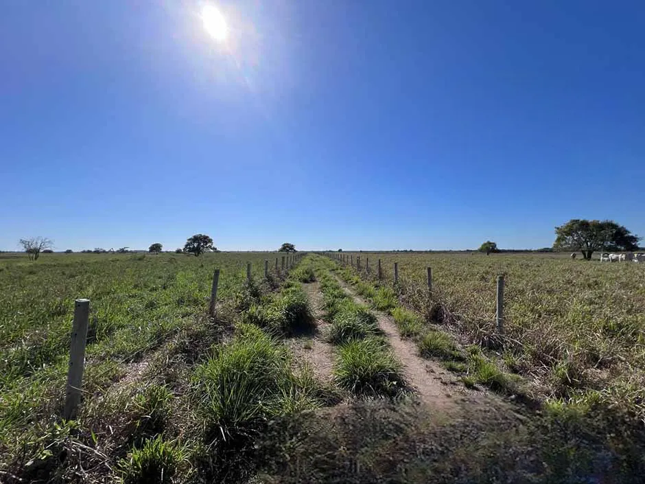 Fazenda à venda de 42 ha em Quissamã, RJ, Brasil