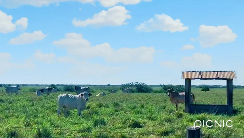 Fazenda à venda de 42 ha em Quissamã, RJ, Brasil