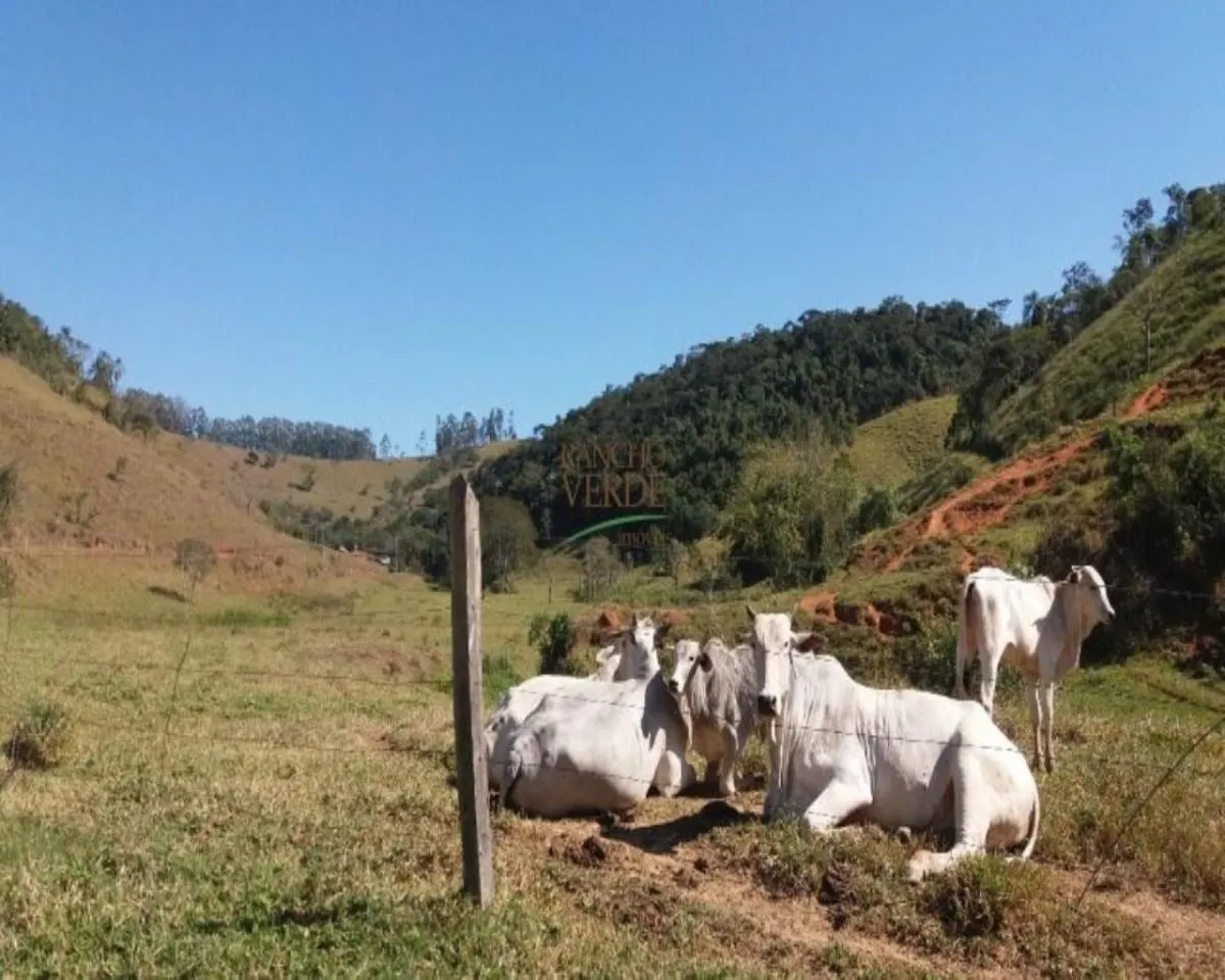 Fazenda à venda de 202 ha em Taubaté, SP, Brasil