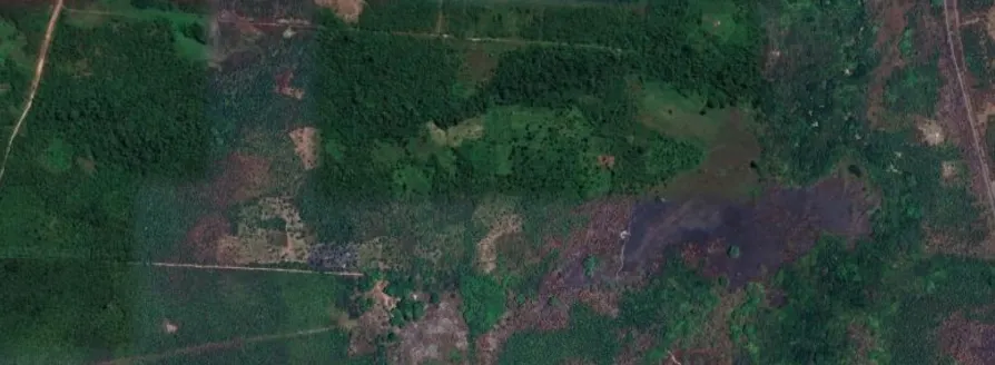 Plot for sale of 173 acres in Santa Rita, MA, Brazil