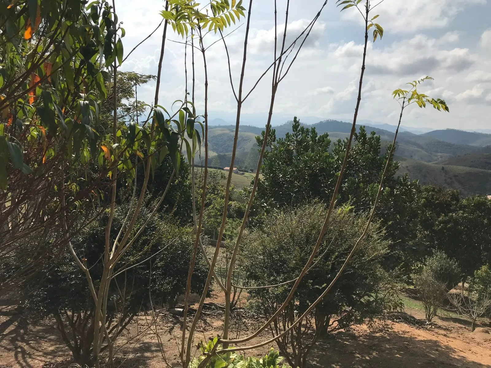 Chácara à venda de 2 ha em São José dos Campos, SP, Brasil