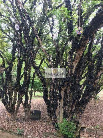Country home for sale of 3,800 m² in São José dos Campos, SP, Brazil