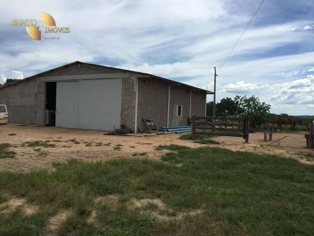 Fazenda à venda de 1.000 ha em Pontal do Araguaia, MT, Brasil