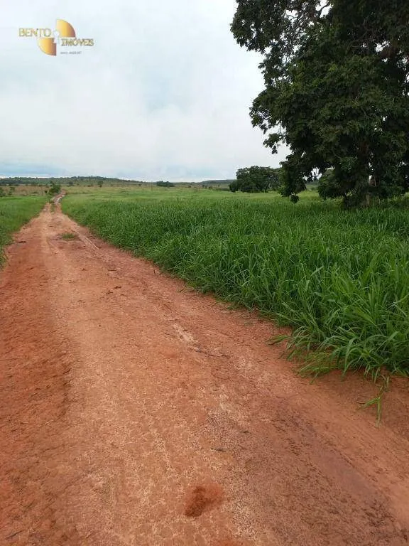 Fazenda à venda de 1.000 ha em Pontal do Araguaia, MT, Brasil