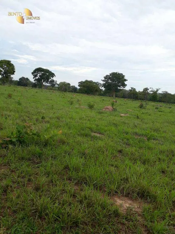 Fazenda à venda de 1.000 ha em Pontal do Araguaia, MT, Brasil