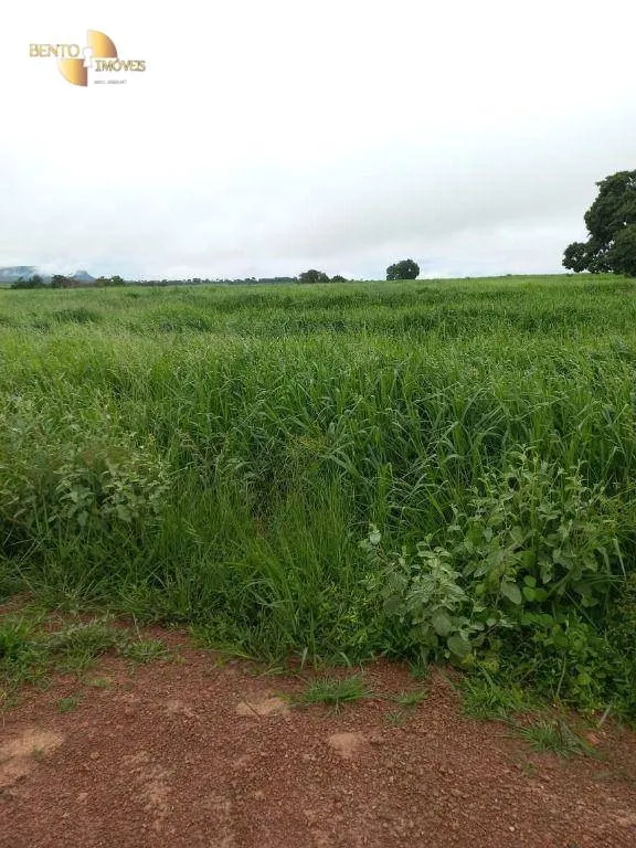 Fazenda à venda de 1.000 ha em Pontal do Araguaia, MT, Brasil
