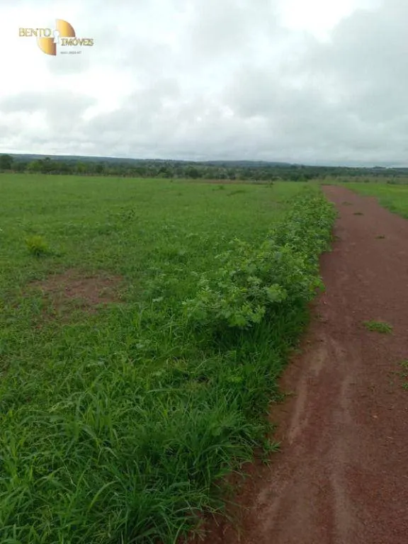 Fazenda à venda de 1.000 ha em Pontal do Araguaia, MT, Brasil