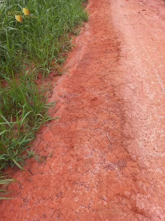 Fazenda à venda de 1.000 ha em Pontal do Araguaia, MT, Brasil