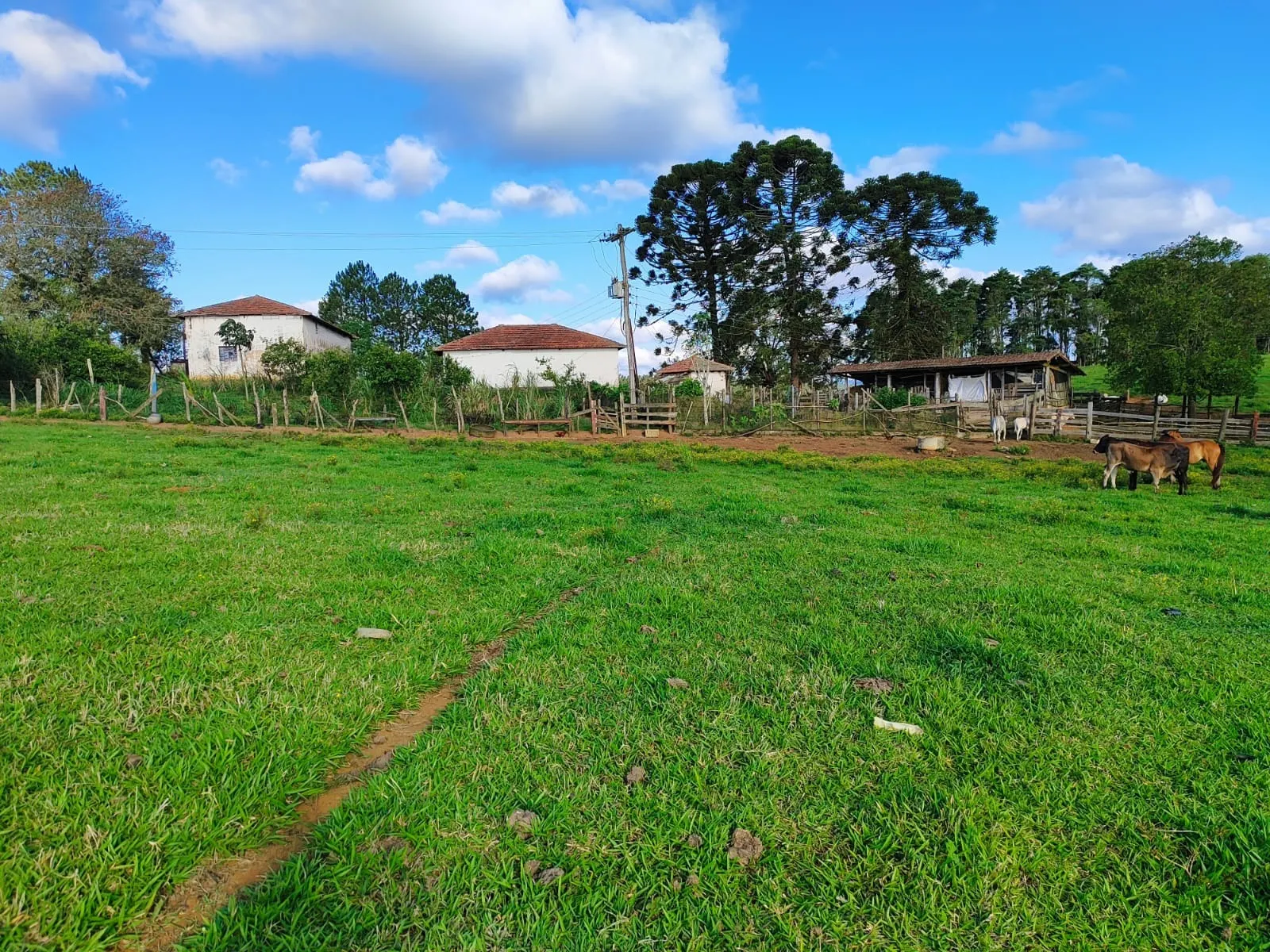 Fazenda à venda de 87 ha em Pilar do Sul, SP, Brasil
