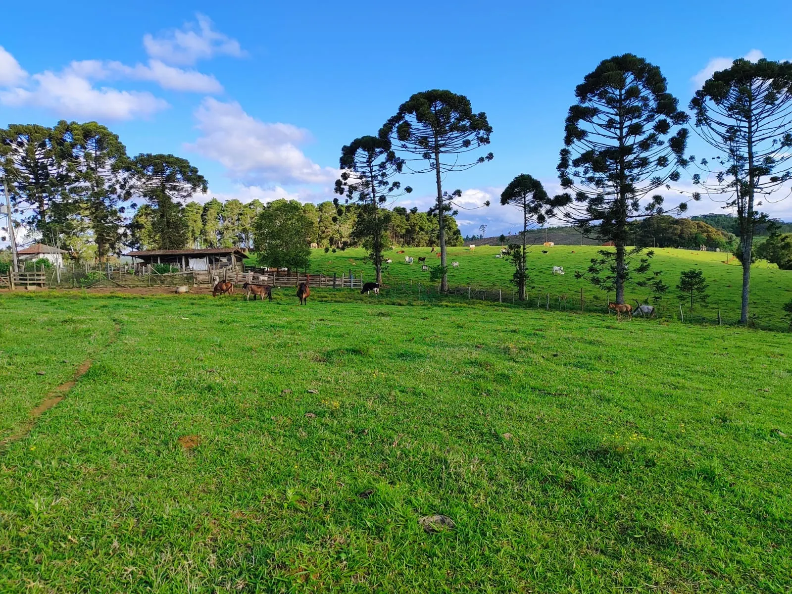 Fazenda à venda de 87 ha em Pilar do Sul, SP, Brasil