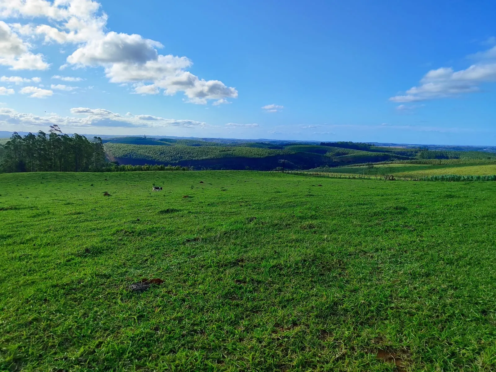 Fazenda à venda de 87 ha em Pilar do Sul, SP, Brasil