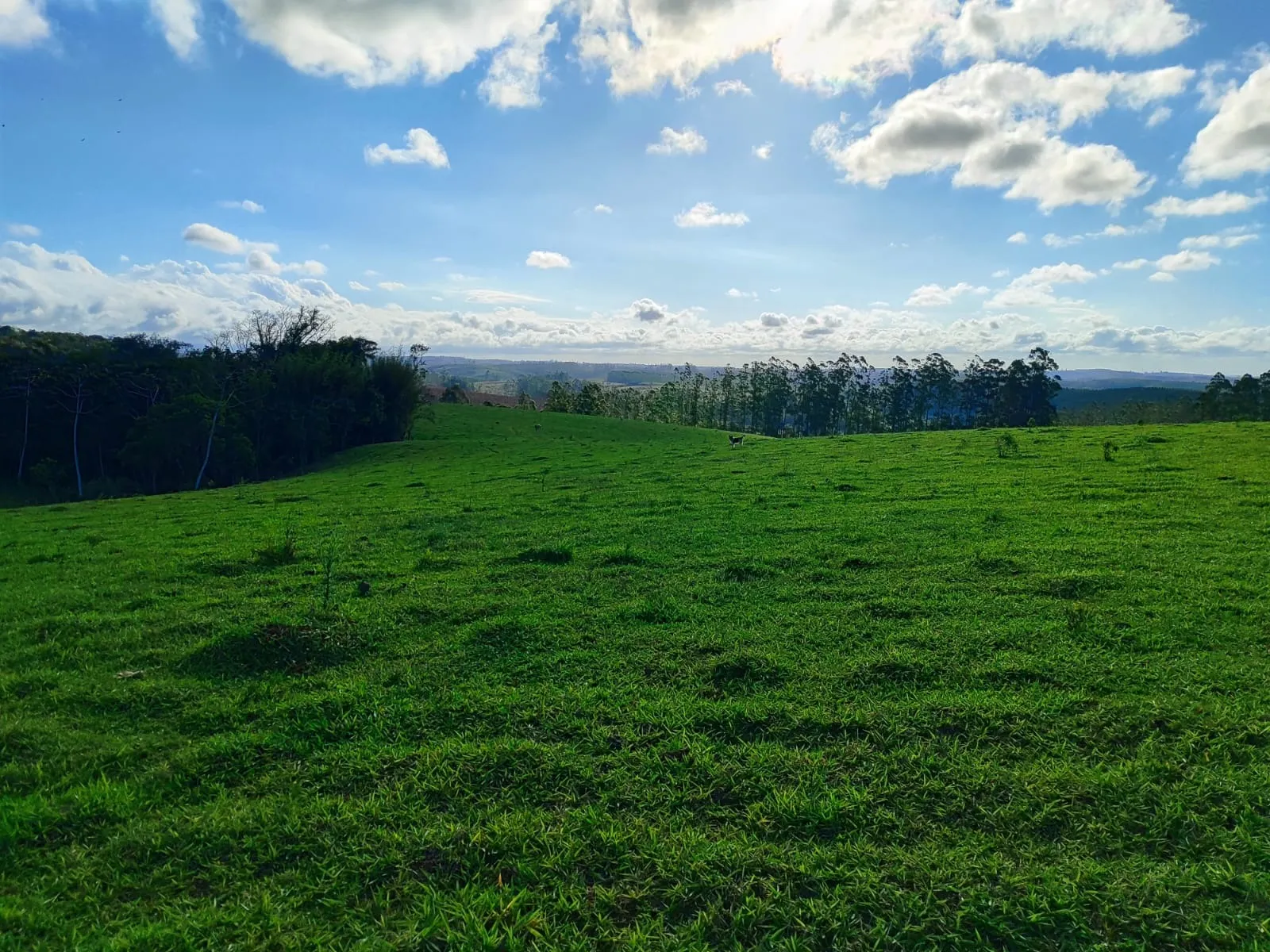Fazenda à venda de 87 ha em Pilar do Sul, SP, Brasil