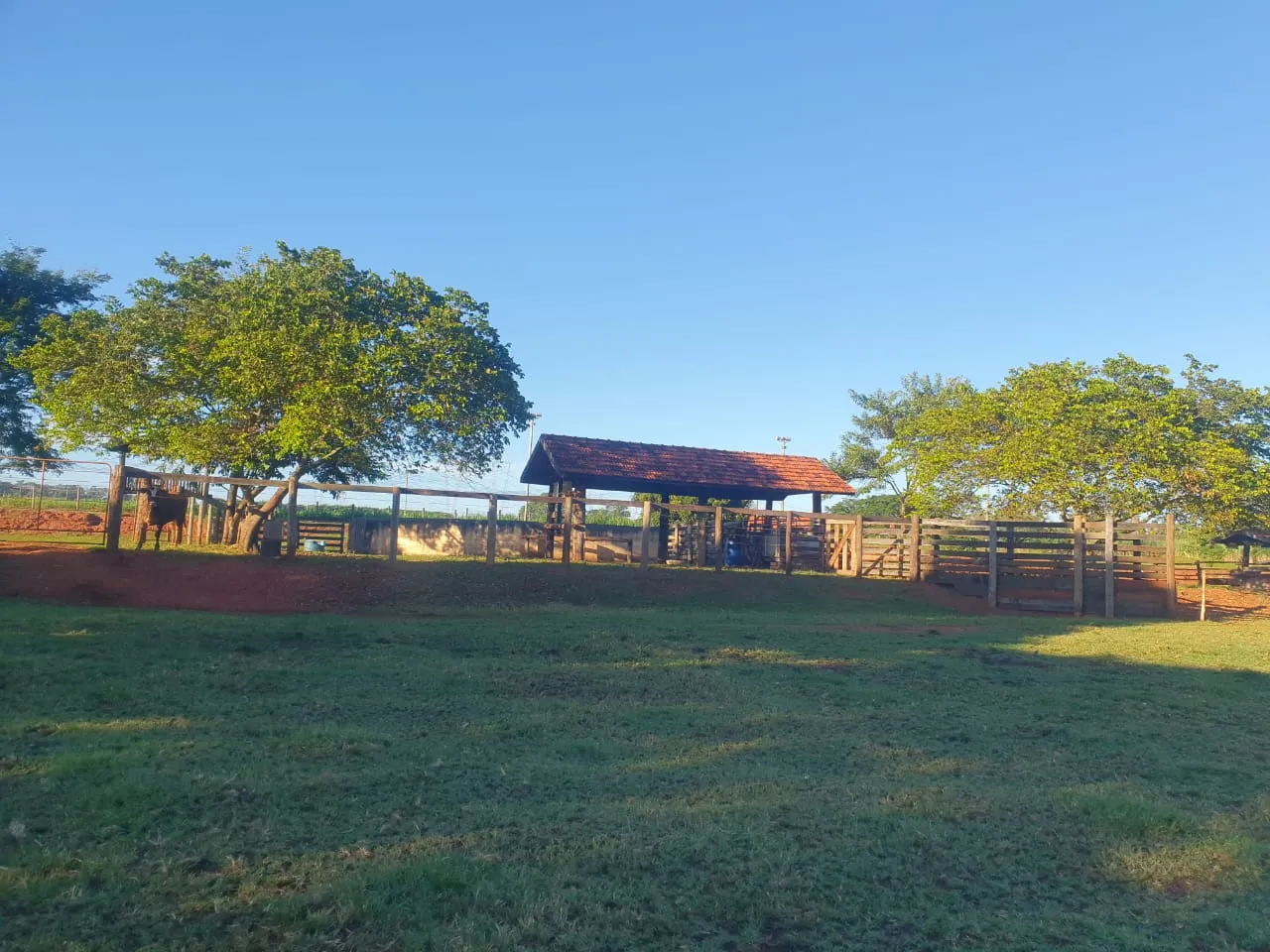 Sítio à venda e para Arrendar de 12 ha em Araraquara, SP, Brasil