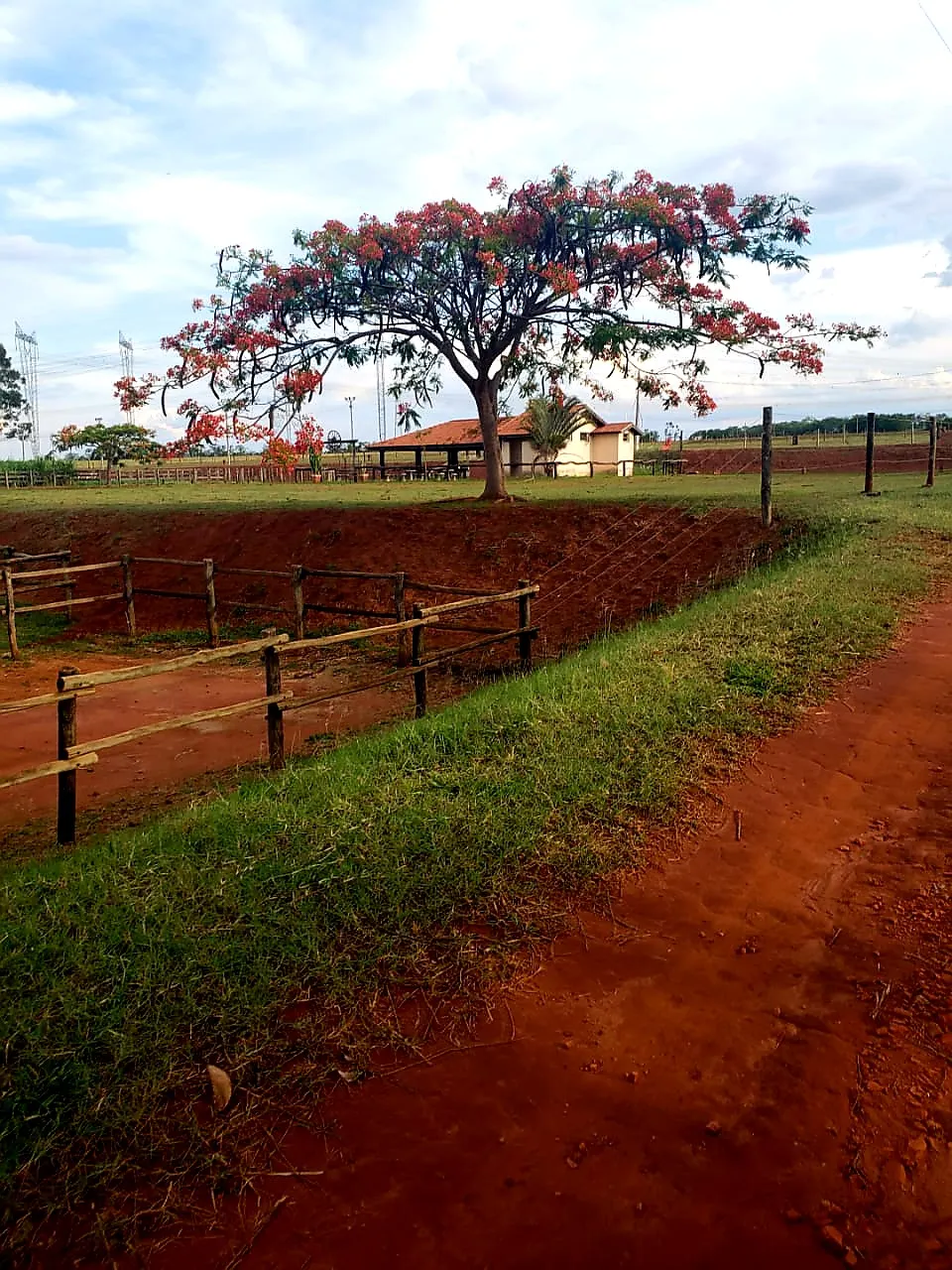 Sítio à venda e para Arrendar de 12 ha em Araraquara, SP, Brasil