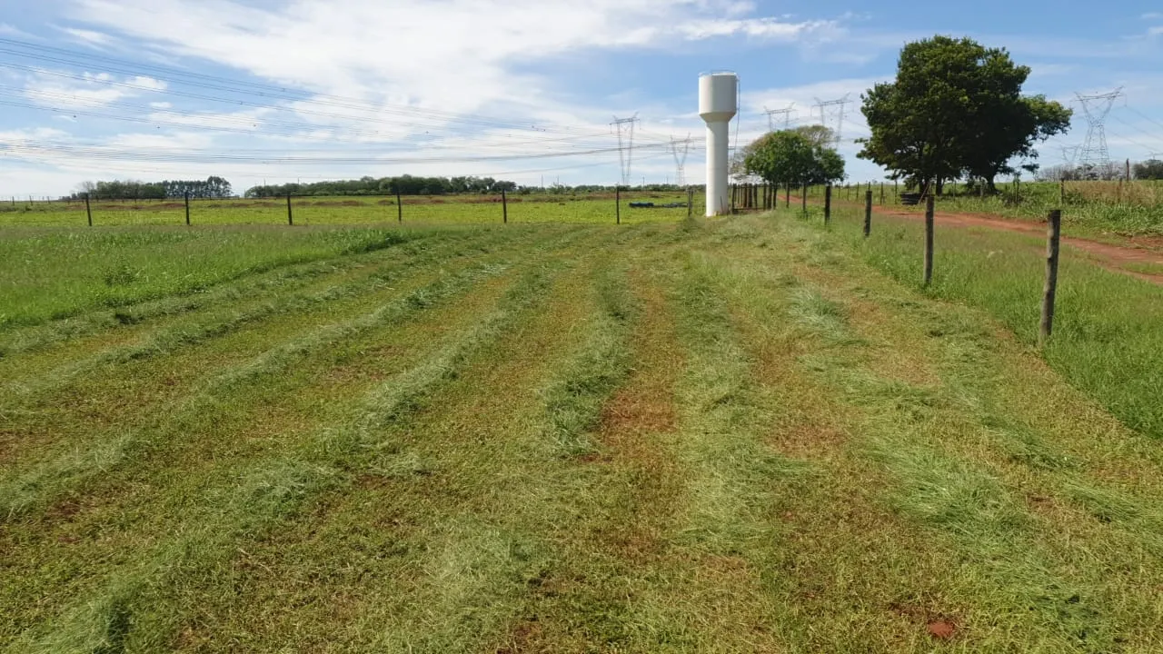 Sítio à venda e para Arrendar de 12 ha em Araraquara, SP, Brasil