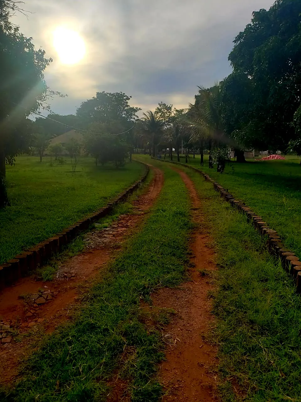 Sítio à venda e para Arrendar de 12 ha em Araraquara, SP, Brasil