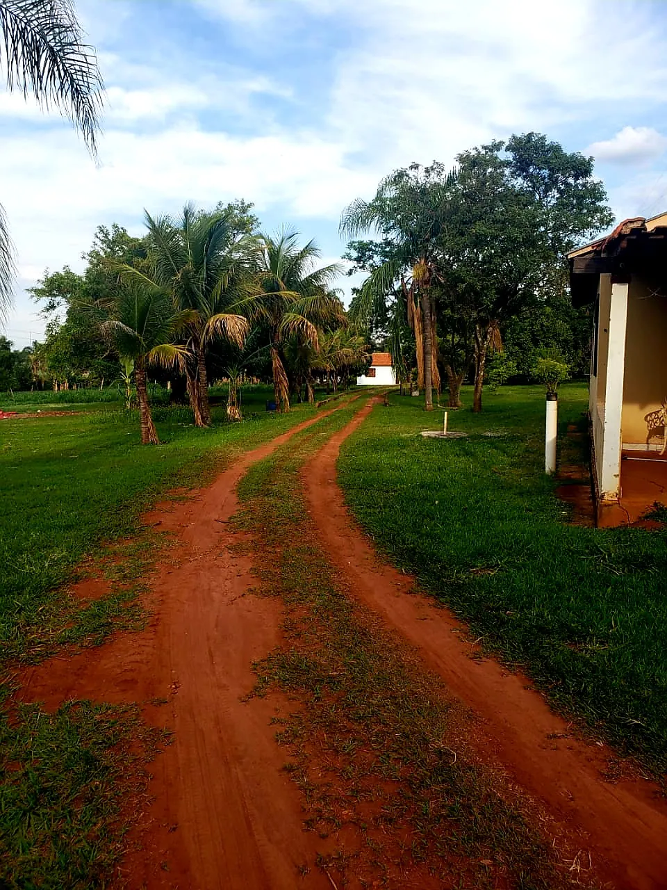 Sítio à venda e para Arrendar de 12 ha em Araraquara, SP, Brasil