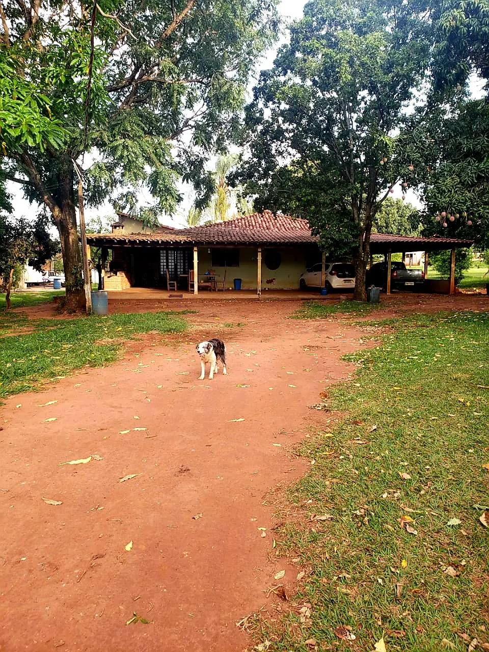 Sítio à venda e para Arrendar de 12 ha em Araraquara, SP, Brasil