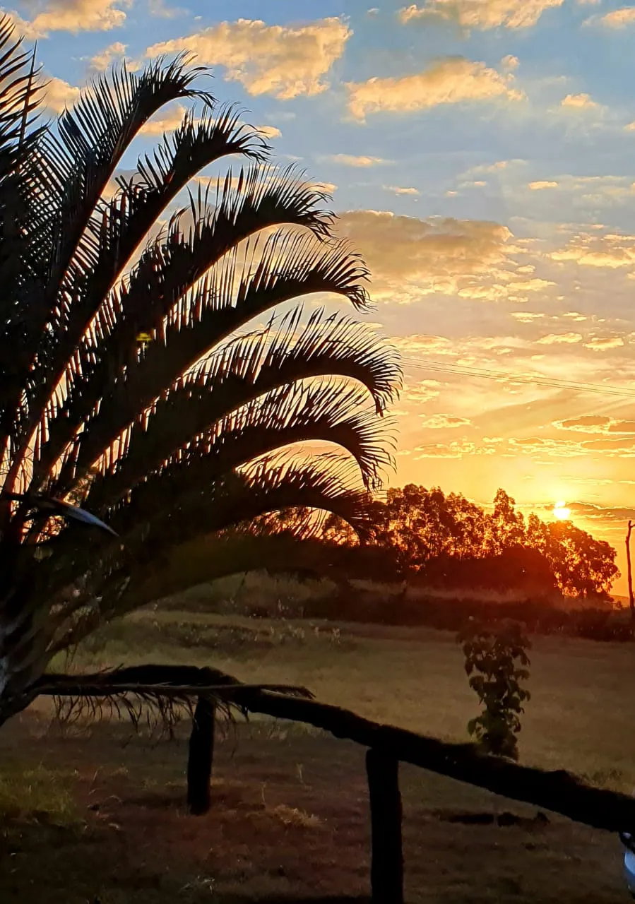 Sítio à venda e para Arrendar de 12 ha em Araraquara, SP, Brasil