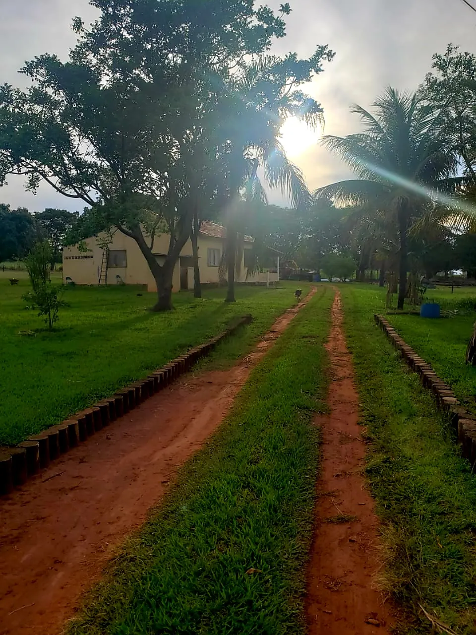 Sítio à venda e para Arrendar de 12 ha em Araraquara, SP, Brasil
