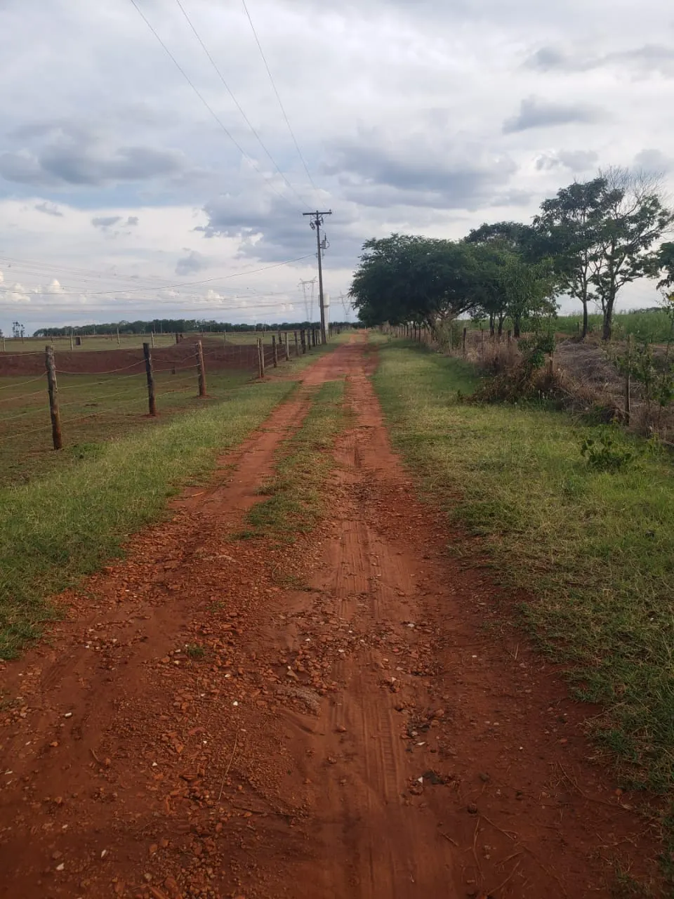 Sítio à venda e para Arrendar de 12 ha em Araraquara, SP, Brasil