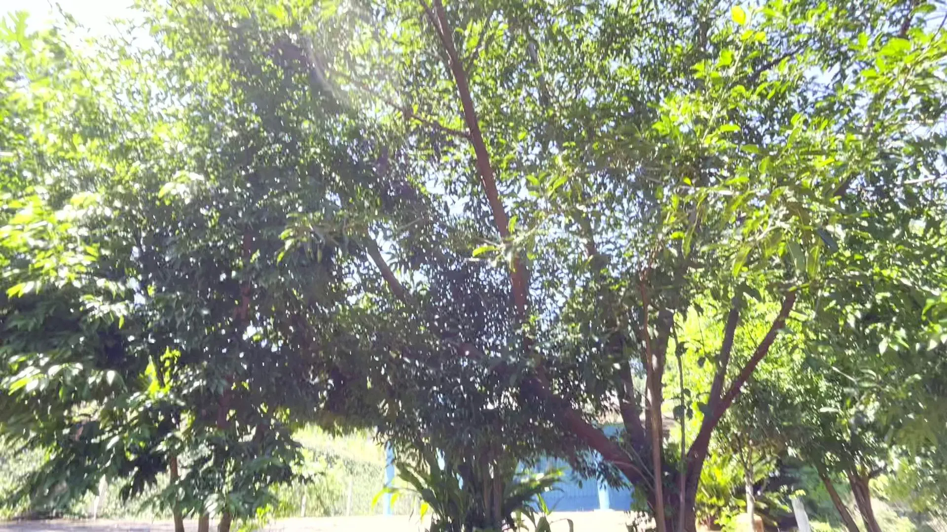 Country home for sale of 5 acres in Caraá, RS, Brazil