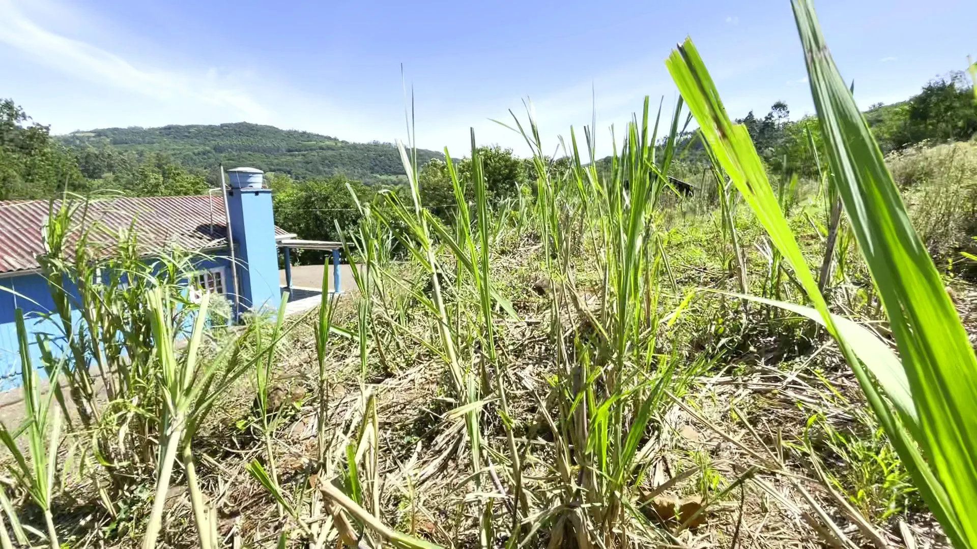 Country home for sale of 5 acres in Caraá, RS, Brazil
