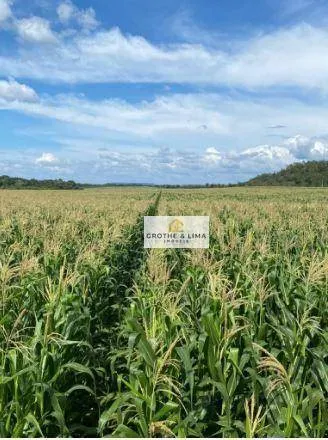 Fazenda à venda de 5.000 ha em Tasso Fragoso, MA, Brasil