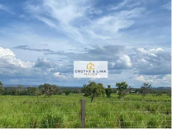 Fazenda à venda de 5.000 ha em Tasso Fragoso, MA, Brasil