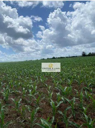 Fazenda à venda de 5.000 ha em Tasso Fragoso, MA, Brasil