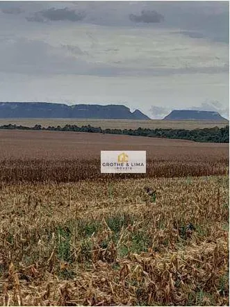 Fazenda à venda de 5.000 ha em Tasso Fragoso, MA, Brasil