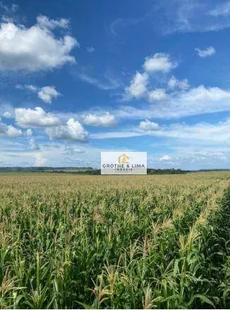 Fazenda à venda de 5.000 ha em Tasso Fragoso, MA, Brasil