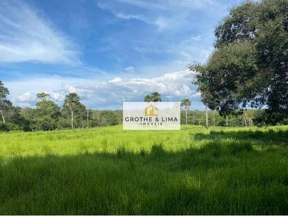 Fazenda à venda de 5.000 ha em Tasso Fragoso, MA, Brasil