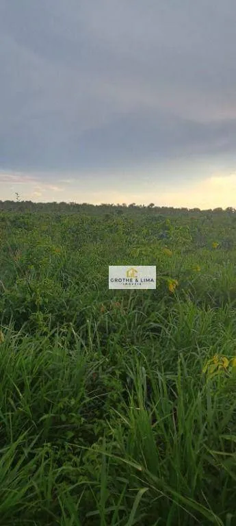 Farm for sale of 2,512 acres in Araguaína, TO, Brazil