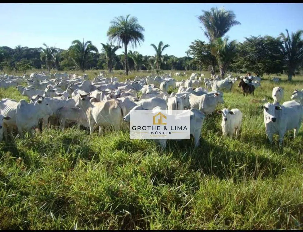 Farm for sale of 2,512 acres in Araguaína, TO, Brazil