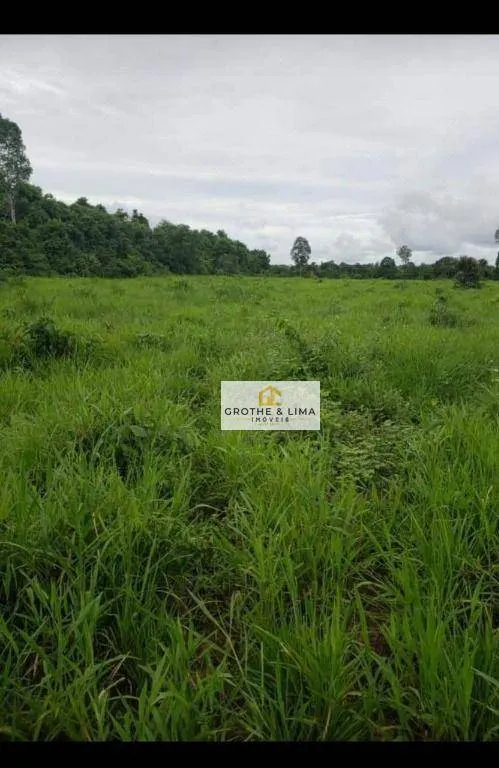 Farm for sale of 2,512 acres in Araguaína, TO, Brazil