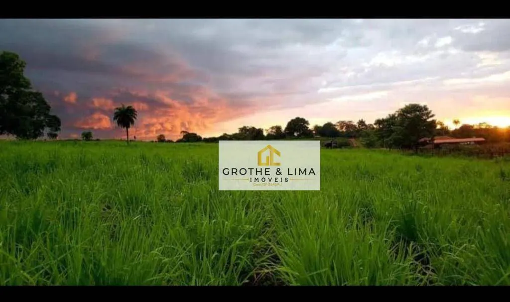 Farm for sale of 2,512 acres in Araguaína, TO, Brazil
