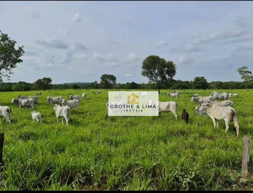 Farm for sale of 2,512 acres in Araguaína, TO, Brazil