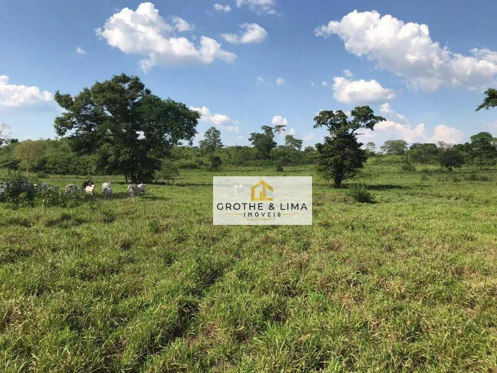 Farm for sale of 2,512 acres in Araguaína, TO, Brazil