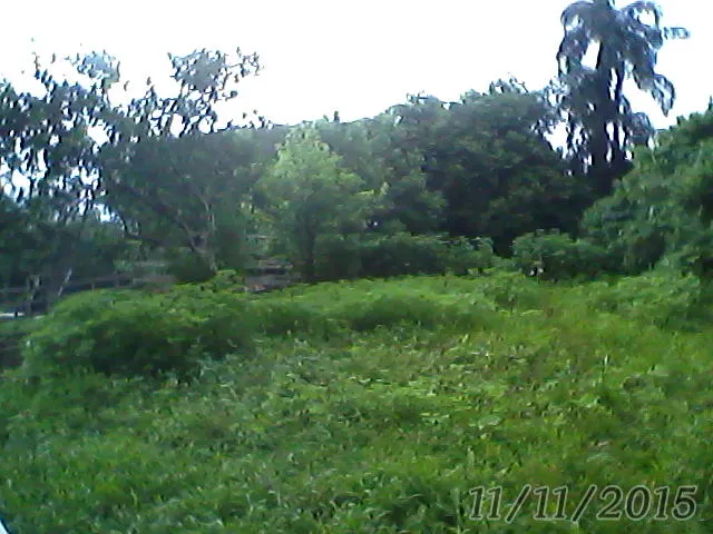 Sítio à venda de 12 ha em Westfália, RS, Brasil
