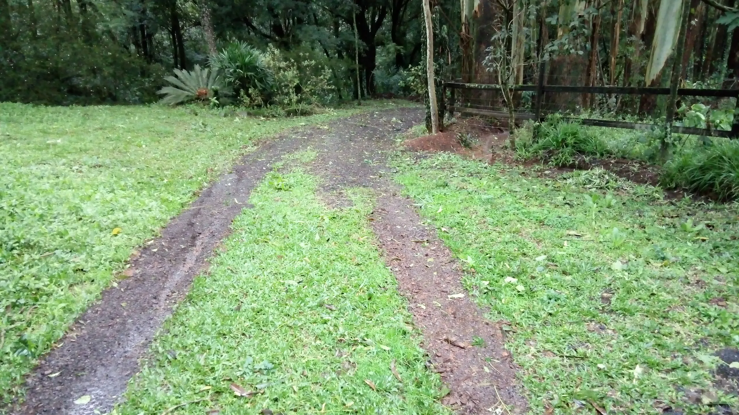 Sítio à venda de 12 ha em Westfália, RS, Brasil