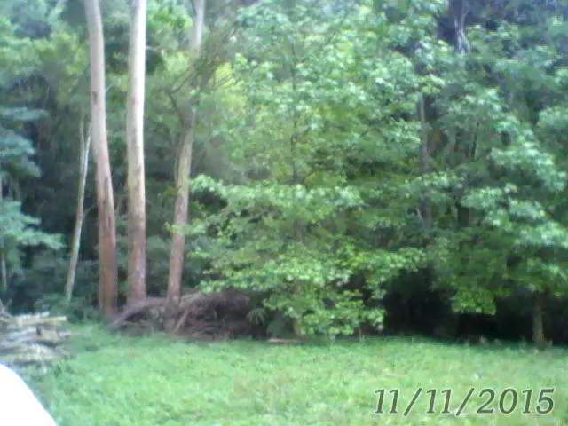 Sítio à venda de 12 ha em Westfália, RS, Brasil