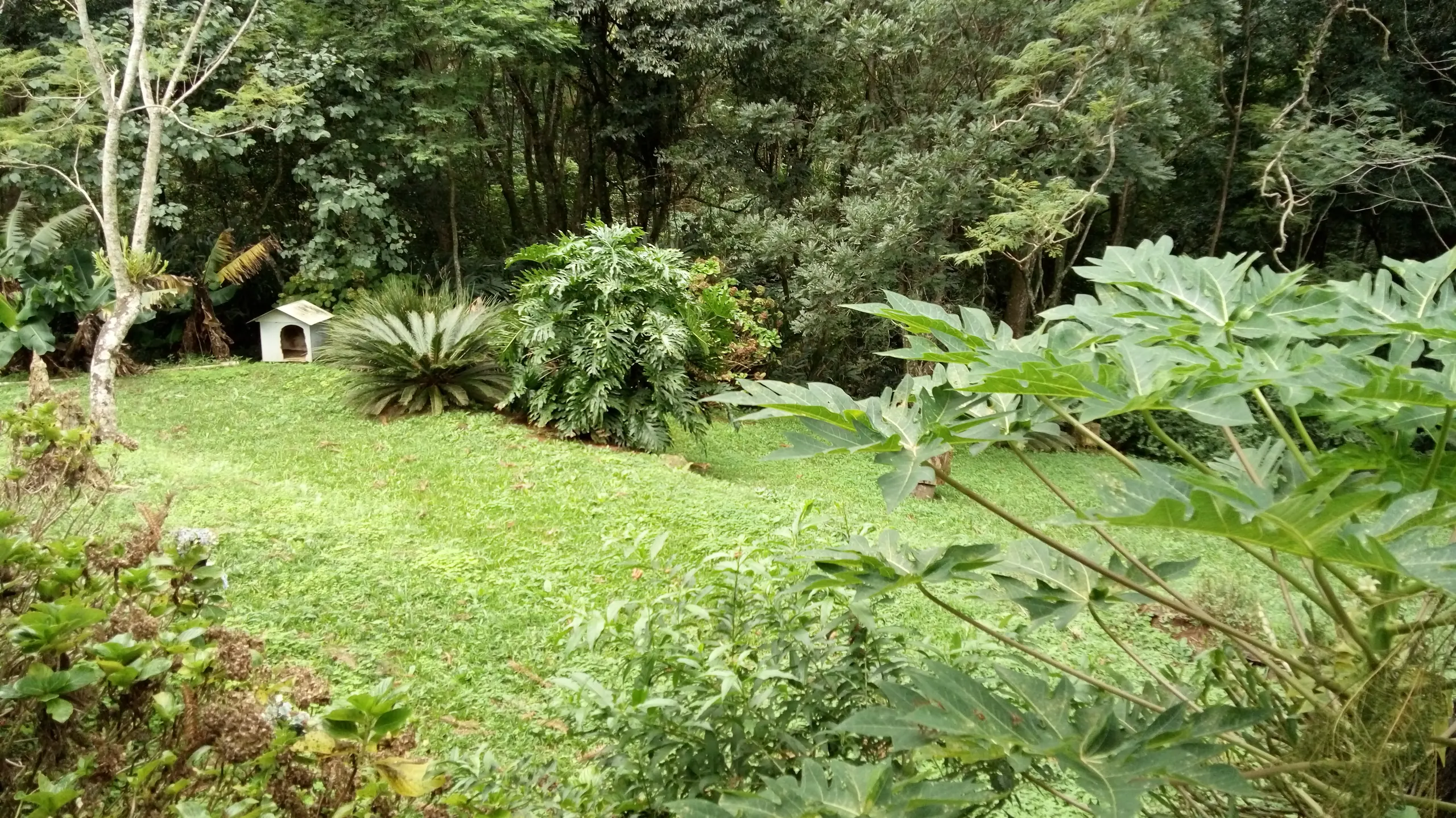 Sítio à venda de 12 ha em Westfália, RS, Brasil