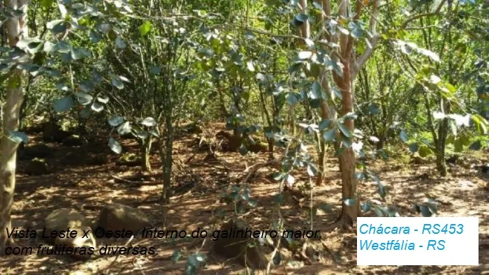 Sítio à venda de 12 ha em Westfália, RS, Brasil