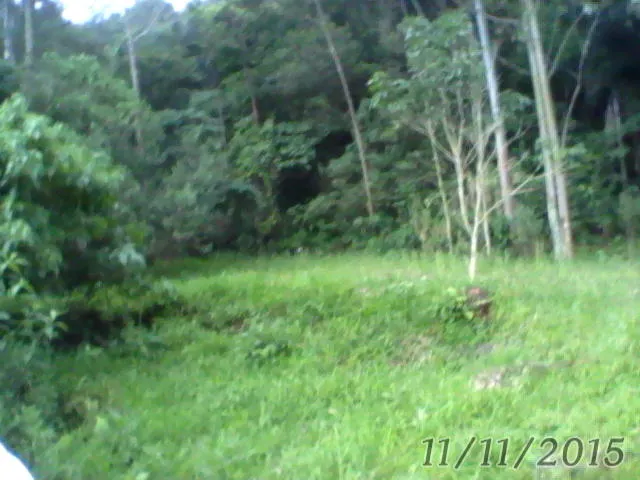 Sítio à venda de 12 ha em Westfália, RS, Brasil