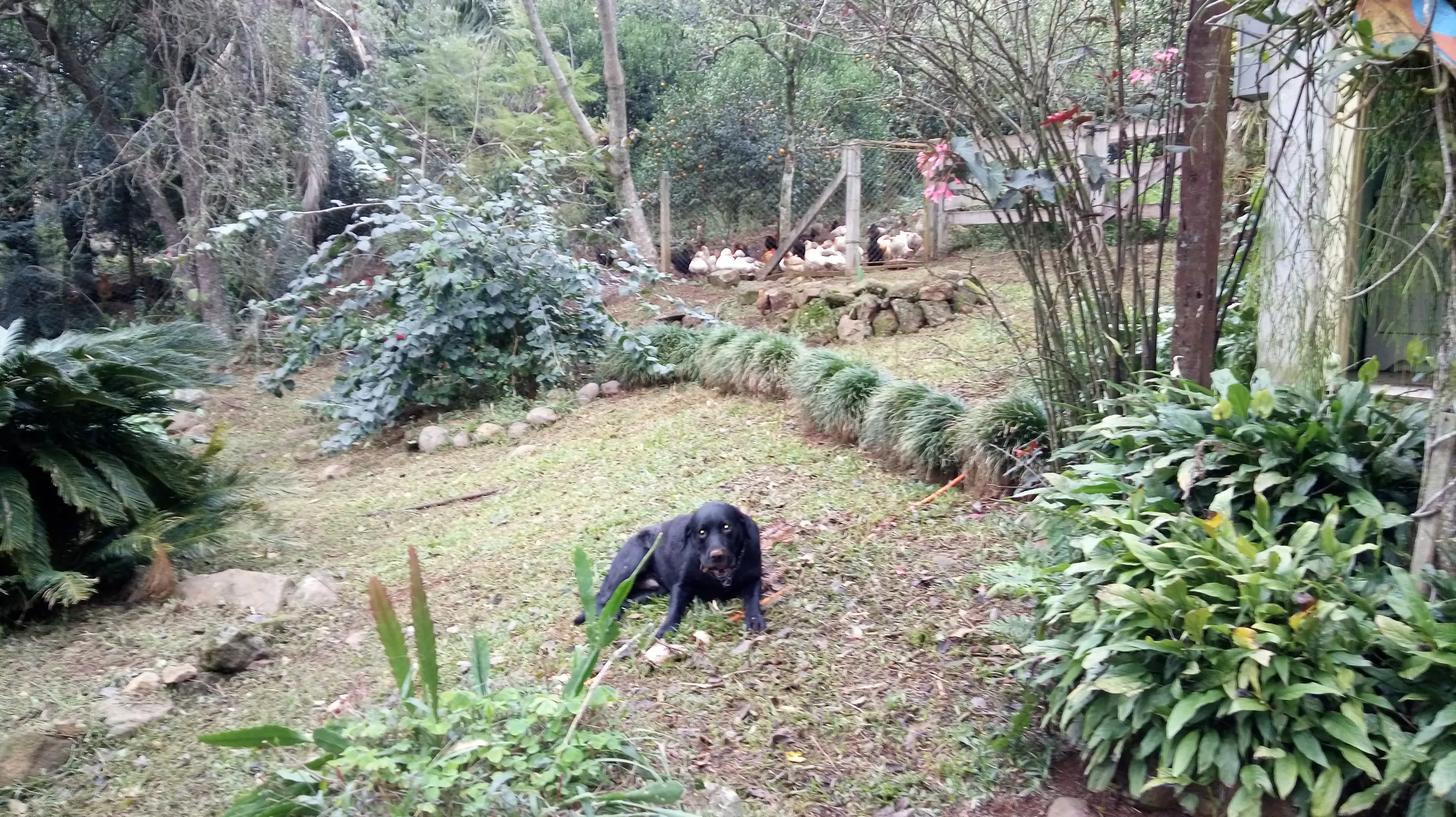 Sítio à venda de 12 ha em Westfália, RS, Brasil