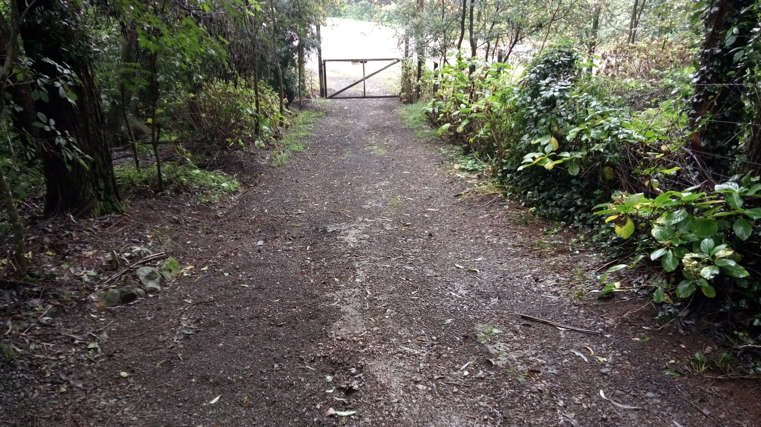 Sítio à venda de 12 ha em Westfália, RS, Brasil