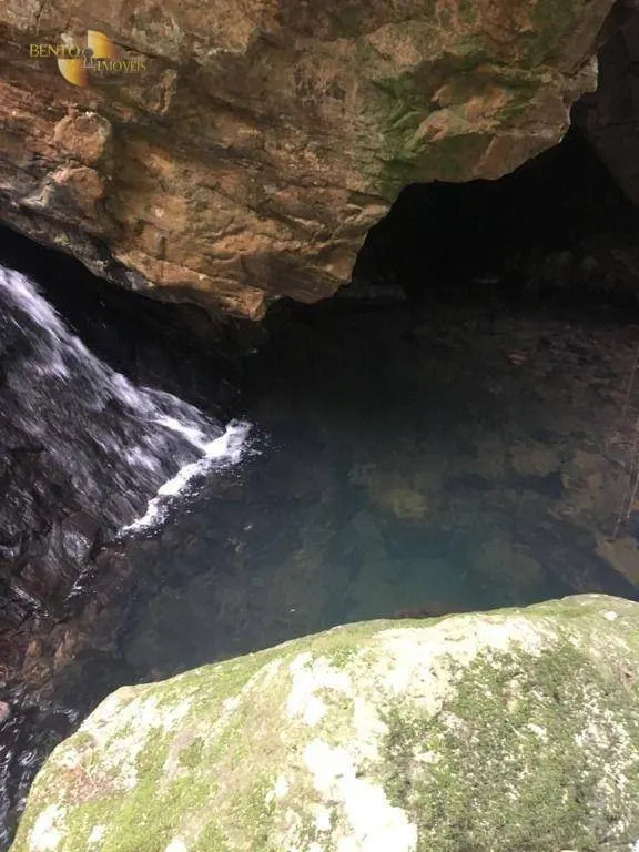 Fazenda à venda de 1.300 ha em Diamantino, MT, Brasil
